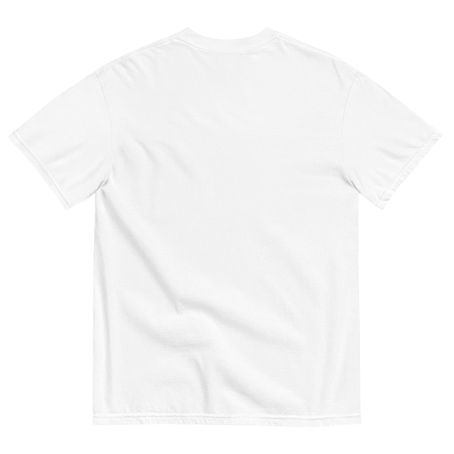 CAMISETA NORMAL SIZE | 3 COLORES