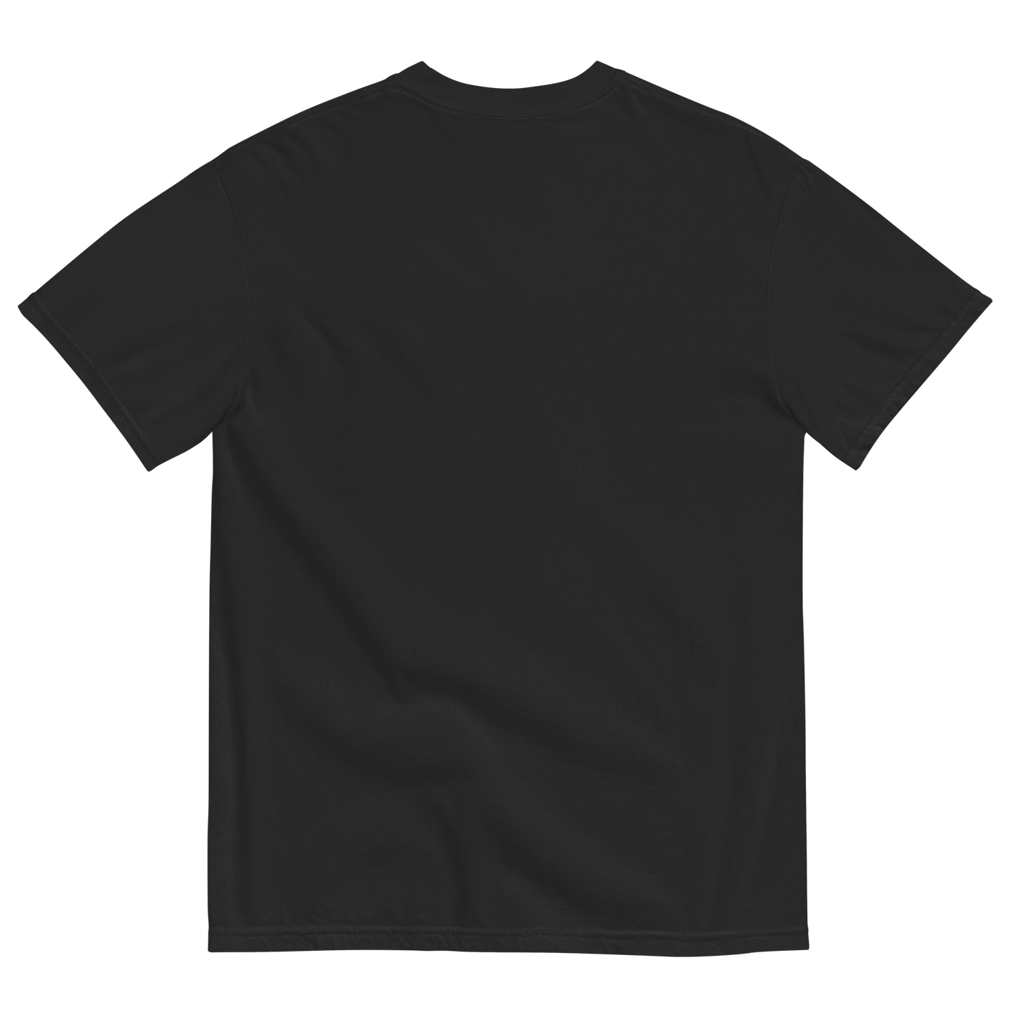 CAMISETA NORMAL SIZE | 3 COLORES