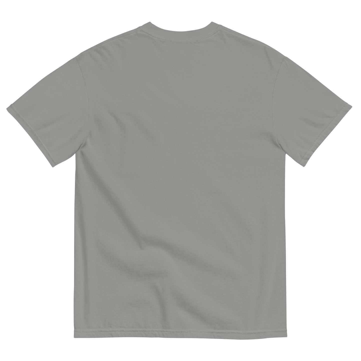 CAMISETA NORMAL SIZE | 3 COLORES